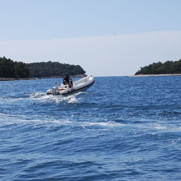 phoca-thumb-l-dsc-0114C13E2CE6-3D84-3CE0-1E70-AC57C56D714C.jpg